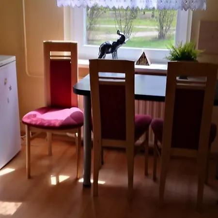 Vieno Kambario Butas Su Balkonu