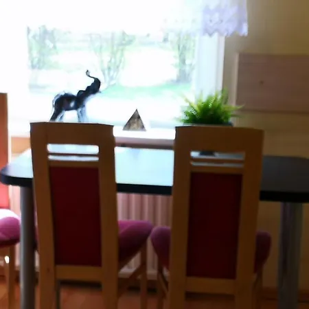 Vieno Kambario Butas Su Balkonu Appartamento *