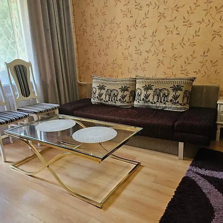 Vieno Kambario Butas Su Balkonu Kaunas