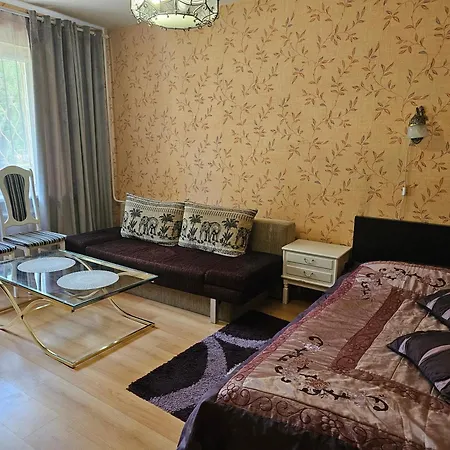 Vieno Kambario Butas Su Balkonu Apartment