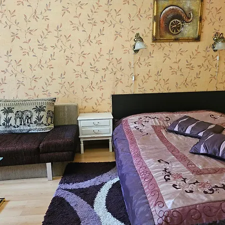 Apartment Vieno Kambario Butas Su Balkonu