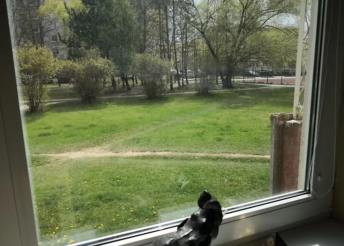 Apartamento Vieno Kambario Butas Su Balkonu