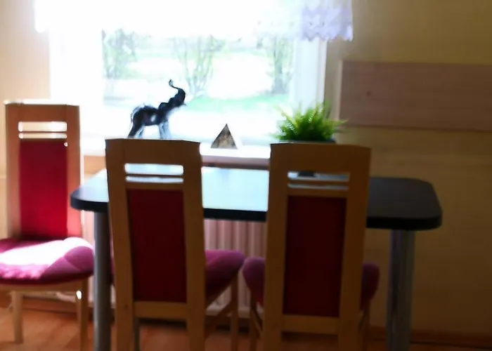 Vieno Kambario Butas Su Balkonu Apartamento *