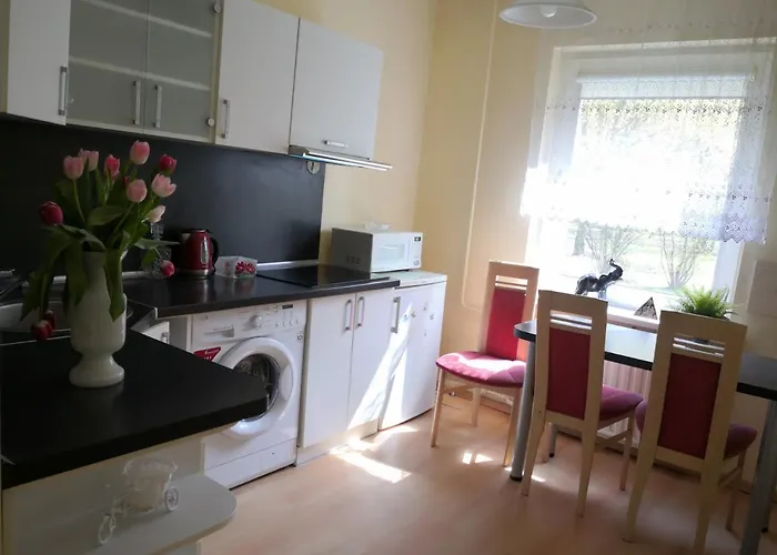 Vieno Kambario Butas Su Balkonu Kaunas