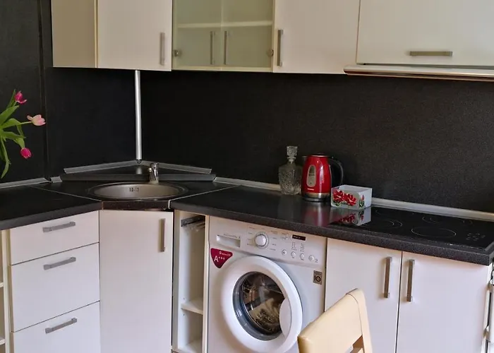 Vieno Kambario Butas Su Balkonu Apartamento