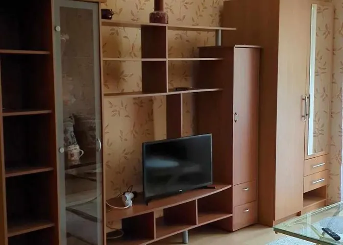 Apartamento Vieno Kambario Butas Su Balkonu *