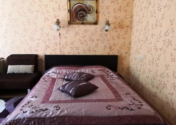 Vieno Kambario Butas Su Balkonu * Kaunas