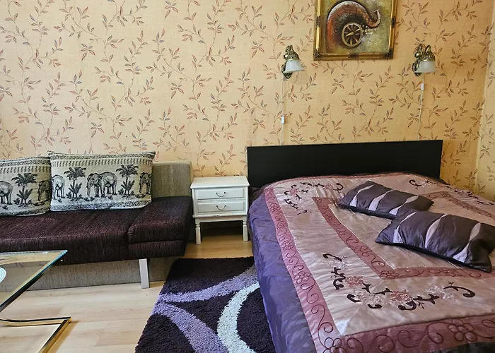 Apartamento Vieno Kambario Butas Su Balkonu